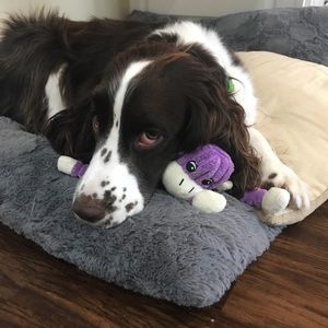 Meet your Posher, Brendan